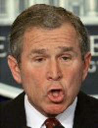 Il presidente Bush