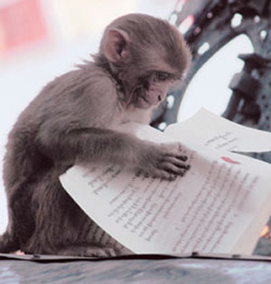 Scimmia scrittore
